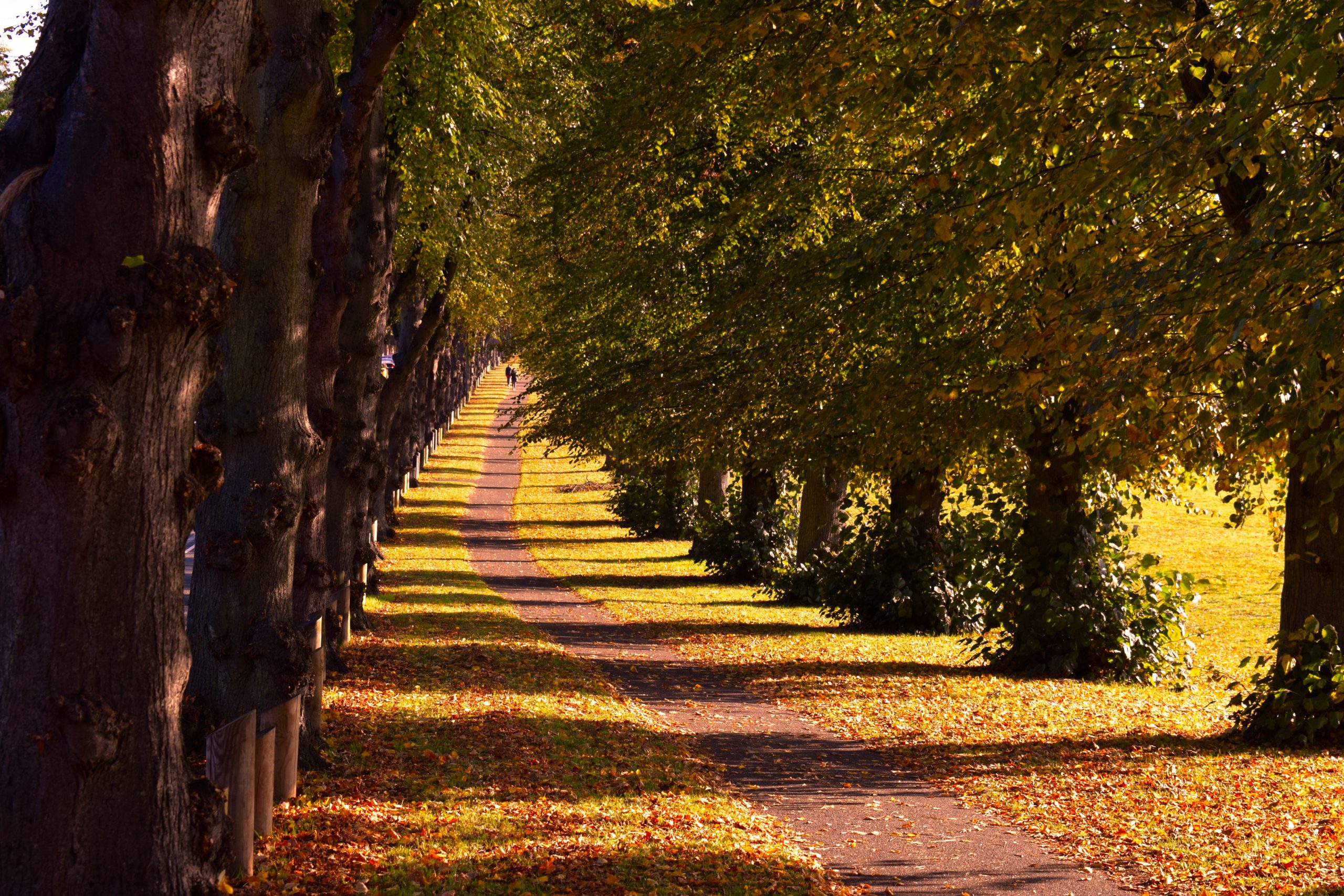 Wellingborough scenic park autumn- motorhomes for sale in Wellingborough